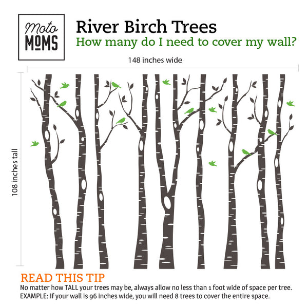 Woodland Nursery 9 Birch Tres Wall Decals